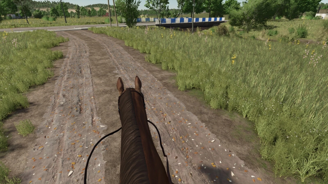 First Person Horse Riding Camera mod in FS25, showing a horse viewpoint on a dirt path.