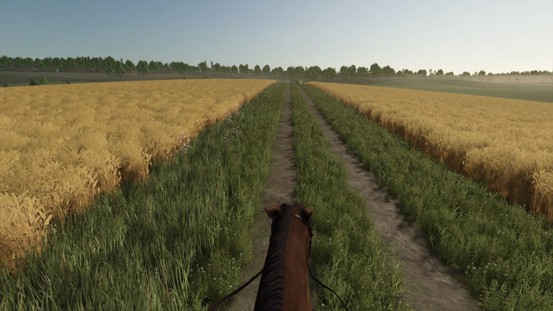 First Person view of horse riding along a dirt path between wheat fields in FS25 mod.