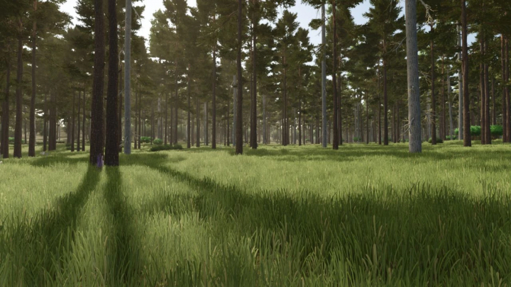 fs25-mods,  Forest landscape in Farming Simulator 25's New Frontier Logging mod. Lush green grass and tall trees create a serene environment.