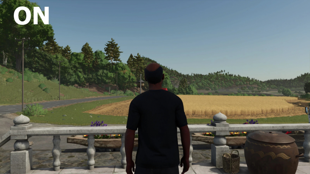 Farming Simulator 25 mod Disable Player Camera Blur ON view shows clear landscape.