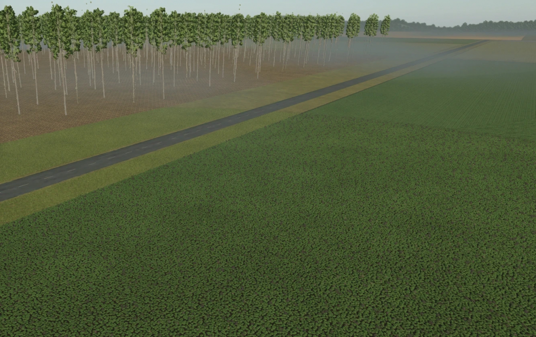 Richmond Map v1.0.0.0 for FS25 showing fields and forest with a road in Farming Simulator 25 mod.