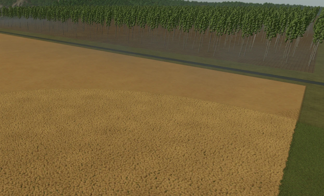 Aerial view of a large wheat field next to a forest in Richmond Map v1.0.0.0 for FS25 mods.