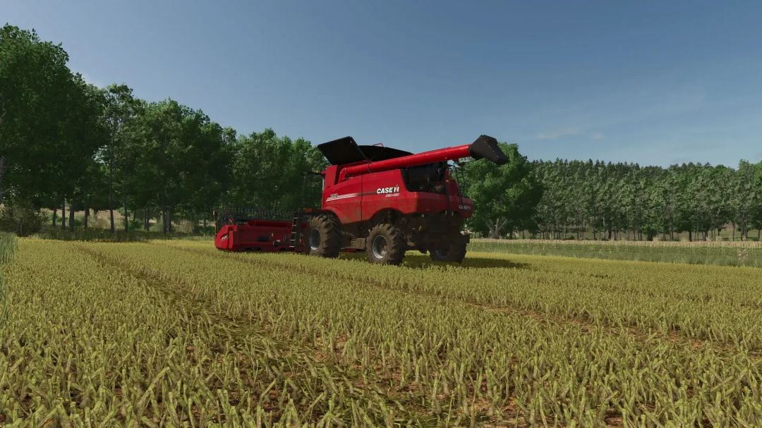 FS25 mod Improved Raps Texture shows a red harvester in a detailed field with trees in the background.