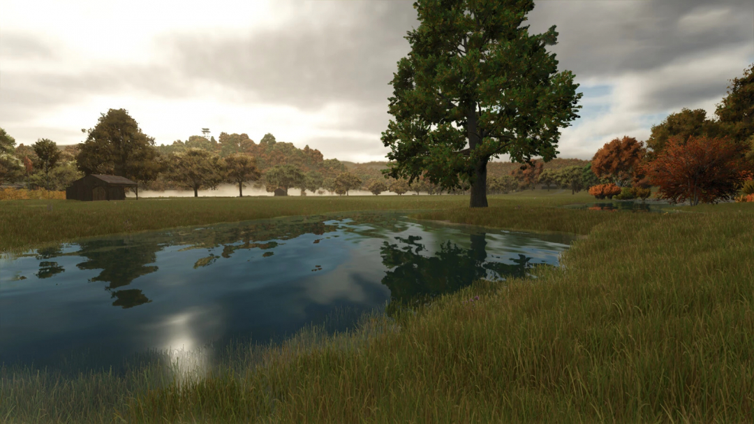 Scenic view of natural water pond with trees in FS25 mods. Natural Water Rivers And Ponds Pack v1.0.0.0 enhances Farming Simulator 25.