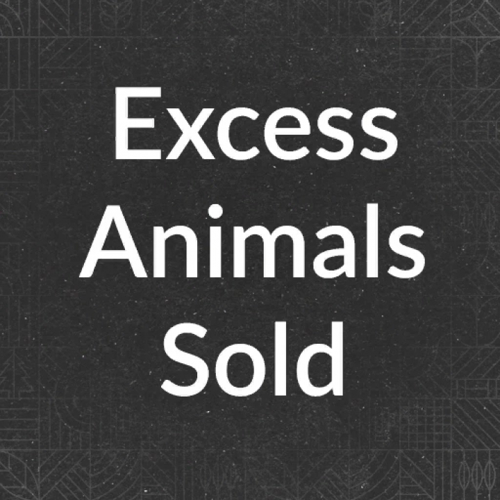 fs25-mods, FS25 mod Excess Animal Sold v1.0.0.0 text on dark background.