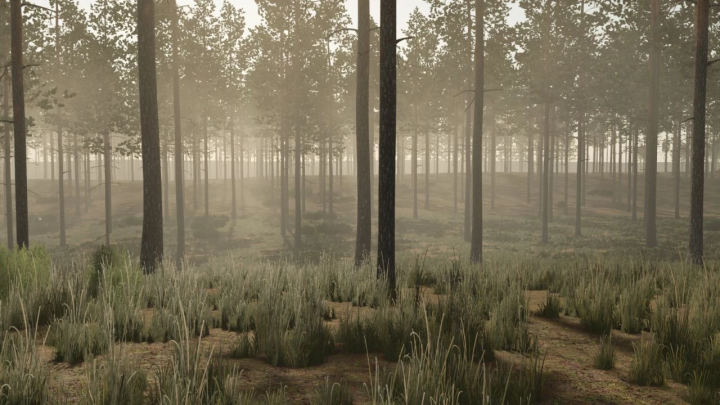 fs25-mods,  Misty pine forest in FS25 Pinewood Forest mod v1.0.0.0 showcasing detailed forestry environment.