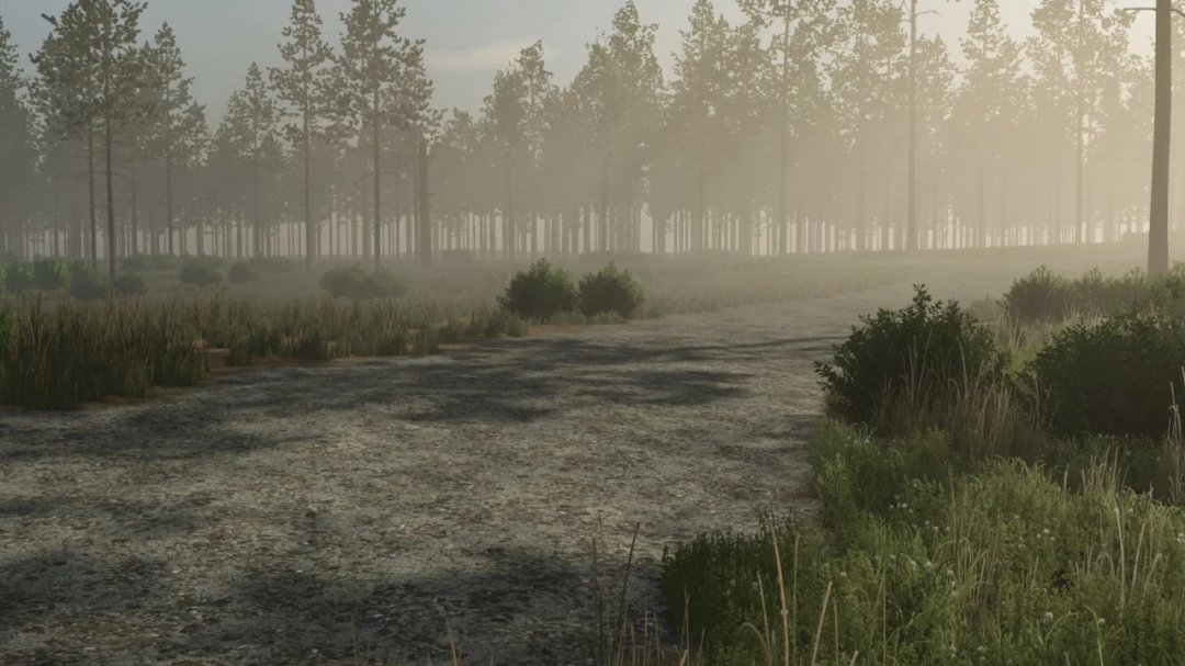 FS25 Pinewood Forest v1.0.0.0 mod shows a misty forest grove with tall pine trees and lush undergrowth.