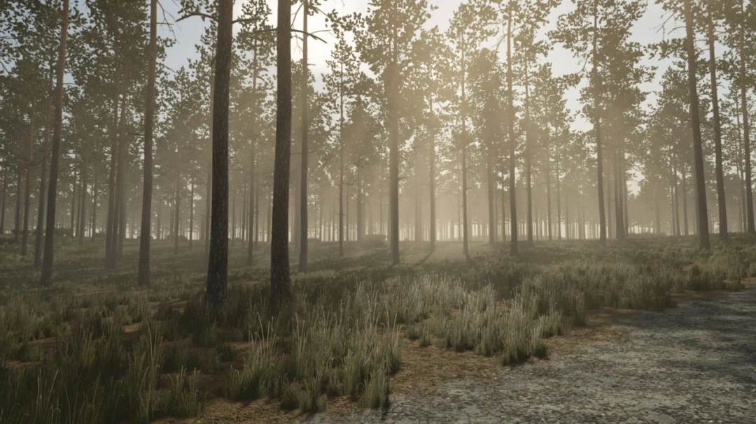 Pinewood Forest mod in FS25 shows a tranquil forest scene with sunlit trees, enhancing the Farming Simulator 25 experience.