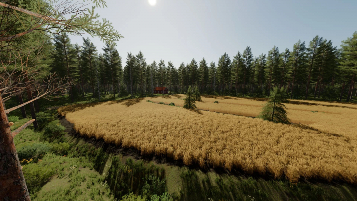 fs22-mods,  Field and forest landscape in FS22 Mäntykoski Map mod v1.0.0.0, showcasing a wheat field with a red house against a backdrop of dense trees.