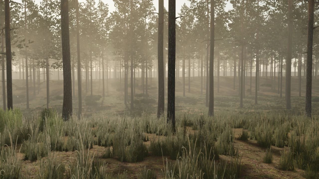 Misty pine forest landscape in FS25 Pinewood Forest mod v1.1.0.0.