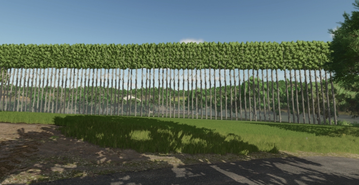 fs25-mods, Fs25 More trees