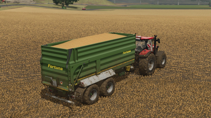 fs25-mods,  Fortuna FTM 200 / 7.5 trailer filled with grain in Farming Simulator 25 field mod.