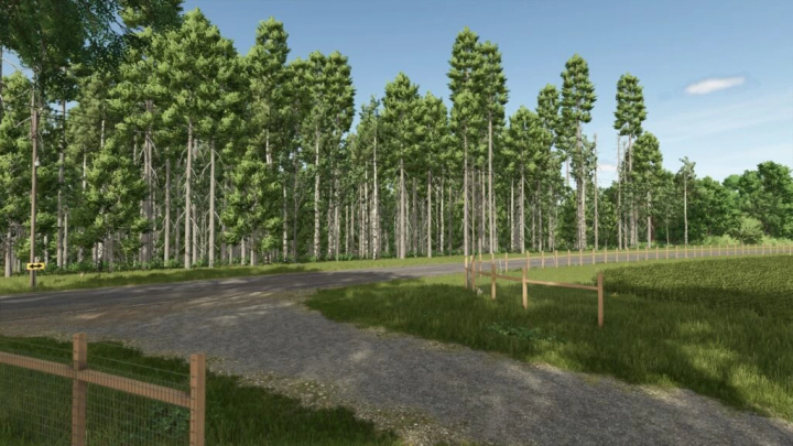 fs25-mods,  Forest scene in FS25 Riverbend Timbers mod, showcasing tall trees and a dirt road under blue skies.