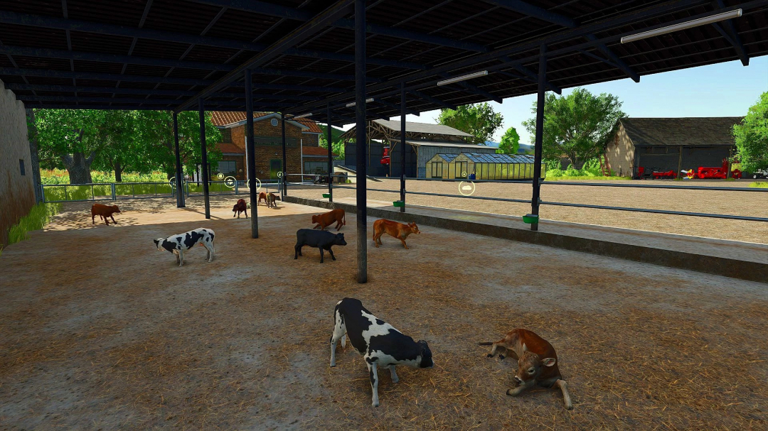 Cows in barnyard of Au Fil des Saisons mod for FS25, showcasing farm environment in Farming Simulator 25.