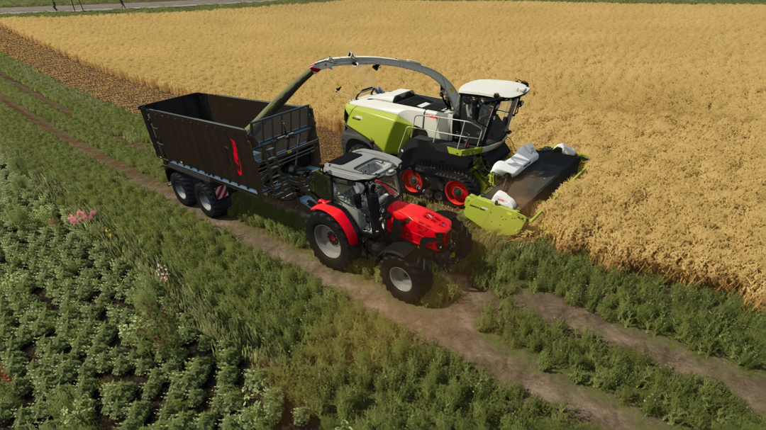 Forage harvester with pipe control mod in FS25 harvesting a wheat field.