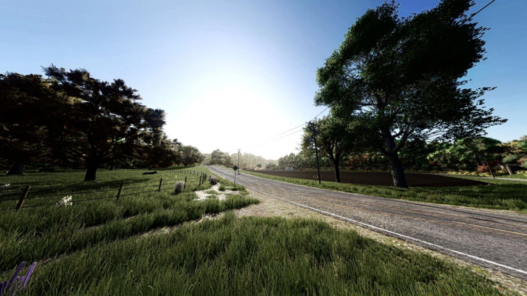 Scenic road with lush greenery in FS25 Shader MKSHV1 mod.