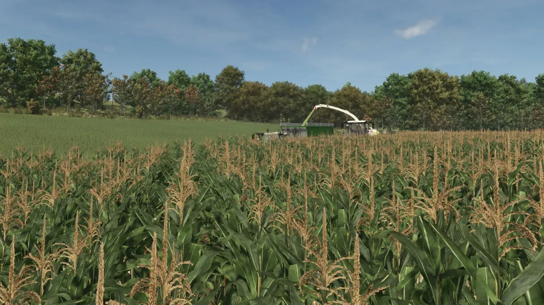 FS25 mod Improved Corn Texture v1.0.0.0 showcasing realistic corn plants in a lush field under a blue sky.