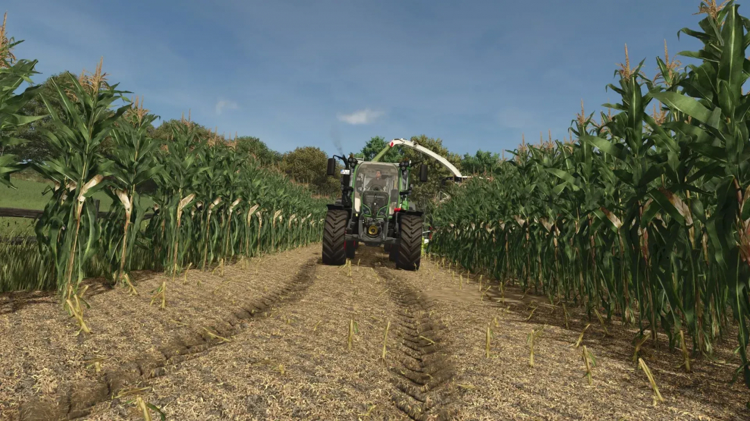 A tractor in a cornfield with enhanced graphics from FS25 Improved Corn Texture mod.