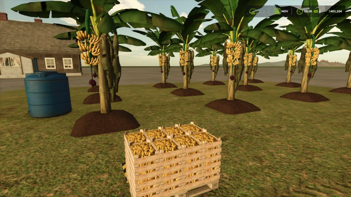 fs25-mods, FS25 mod showing banana plantation with banana trees and a crate of bananas.