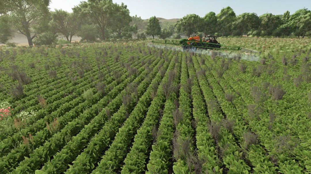 FS25 mods image of a tractor using Amazone Seeder in lush green field.