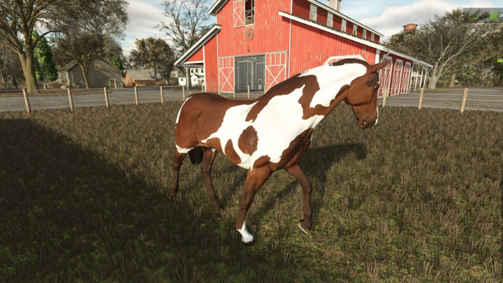 fs25-mods,  A horse grazing in a field with a red barn in the background in Farming Simulator 25 mod 'Increased value of the horse'.