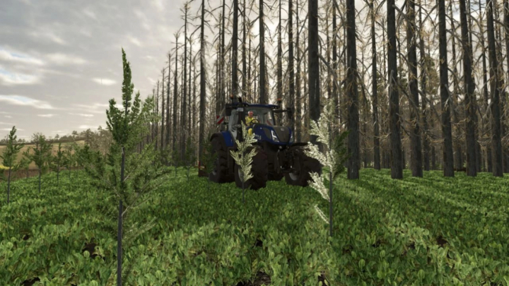 fs25-mods,  FS25 mods: A tractor in a dense forest with the No Tree Limits mod v1.0.0.0, enhancing tree planting in Farming Simulator 25.