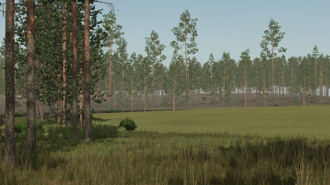 Scenic pine forest in FS25 Pinewood Forest mod. Lush greenery and tall trees enhance the Farming Simulator 25 landscape.