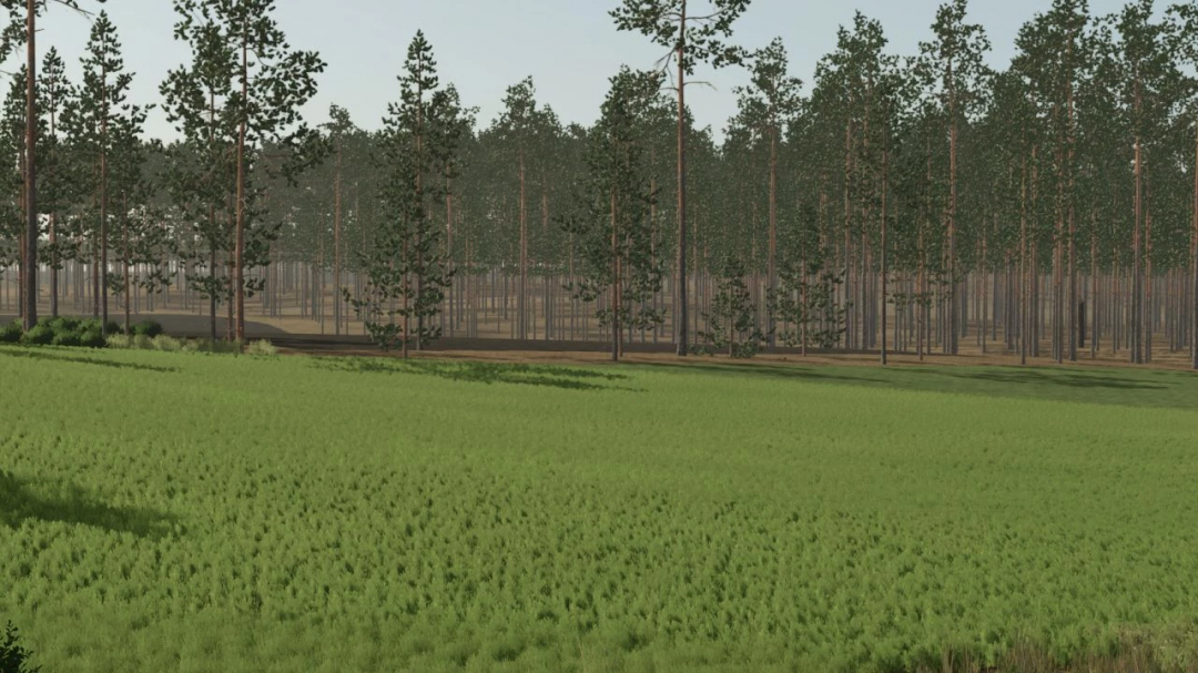 Scenic view of Pinewood Forest mod in FS25, featuring lush green field and dense pine trees.