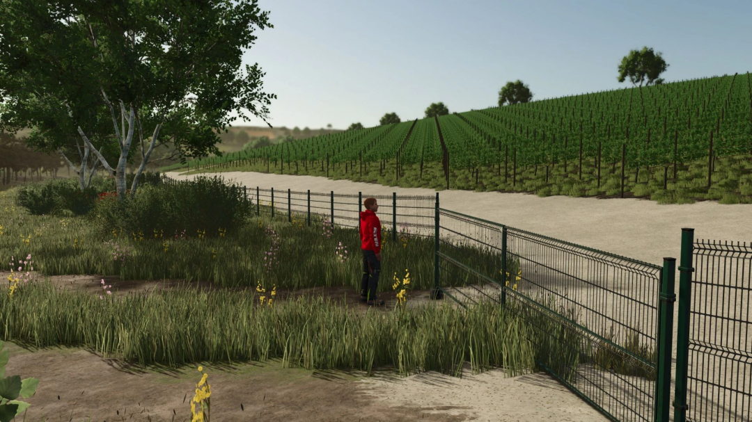 Character in red jacket stands by a fence near a lush vineyard in FS25 3 dvory mod.