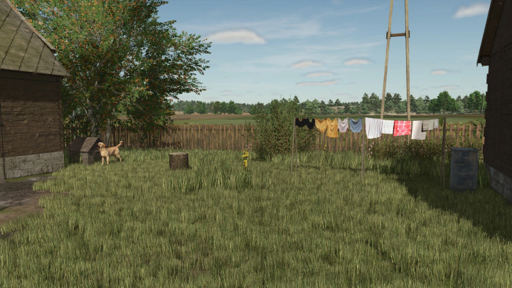 fs25-mods, Farming Simulator 25 mod scene with a dog, clothesline, and lush grass. FS25 small items mod adds realism.