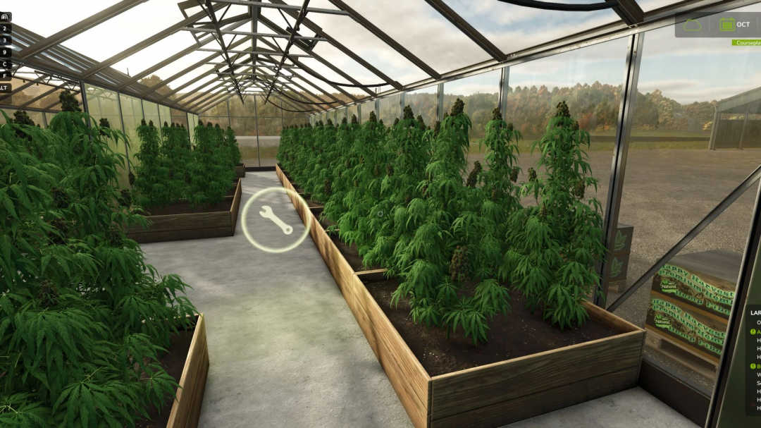 FS25 mods: Hemp Production System v1.5.1.0 features a greenhouse with thriving hemp plants.