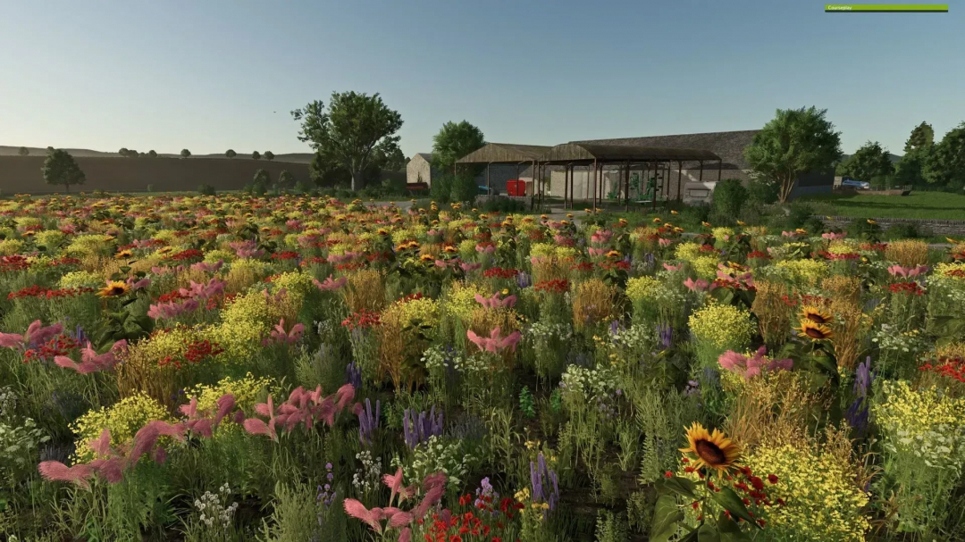 Colorful field of oil radish flowers in FS25, showcasing vibrant textures from the Oil Radish Texture mod.