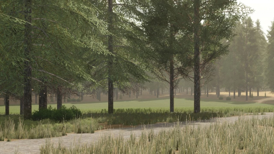 Lush pine forest landscape from FS25 mods, Pinewood Forest v1.3.0.0, showcasing dense green trees and grassy terrain.