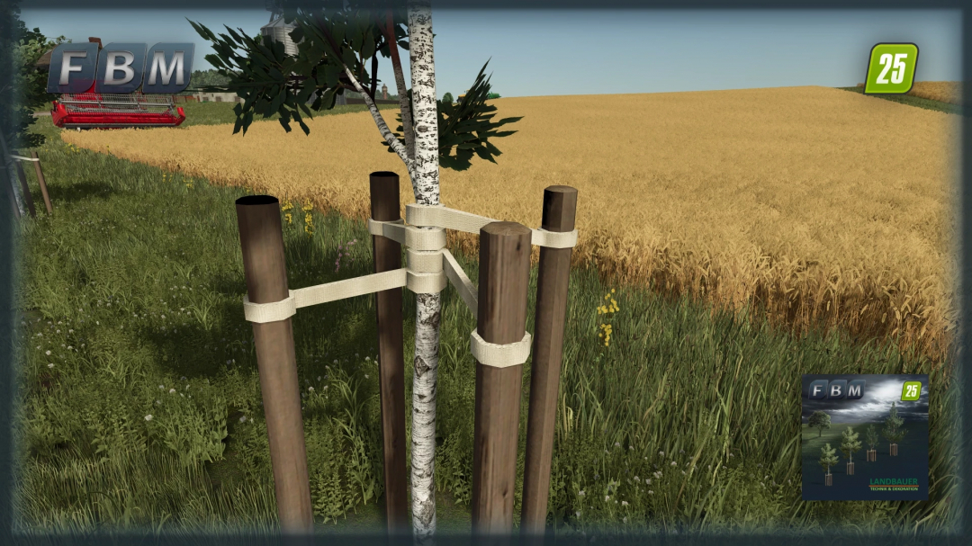 FS25 mod Young Trees v1.0.0.0 shows a small tree supported by wooden stakes in a field.