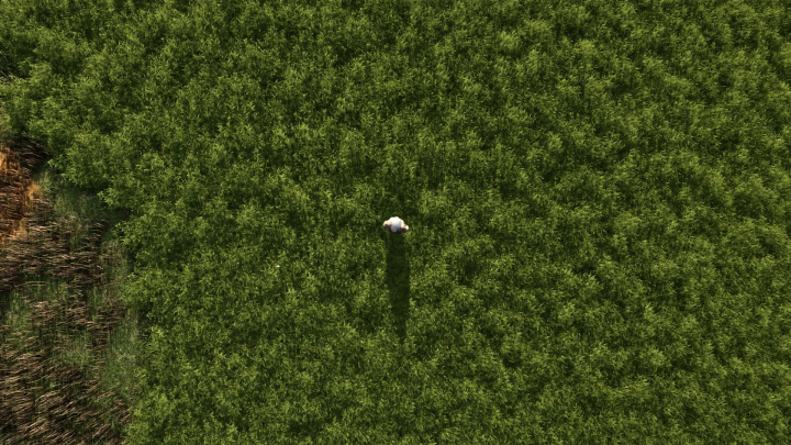 fs25-mods,  Aerial view of lush green grass in FS25 mod More beautiful grass v1.0.0.0.