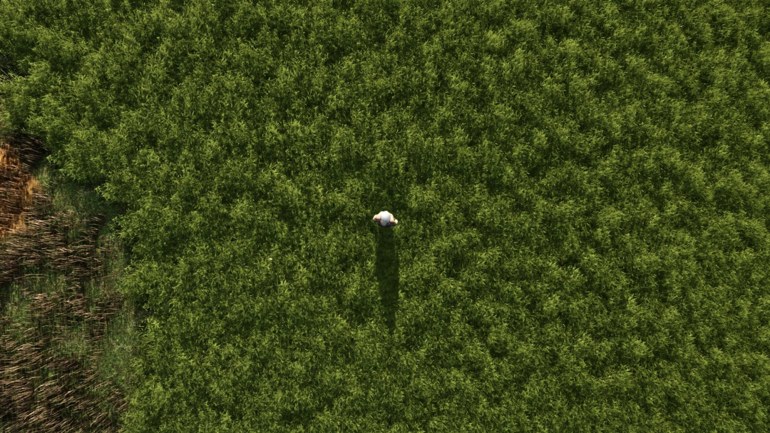 Aerial view of lush green grass in FS25 mod More beautiful grass v1.0.0.0.