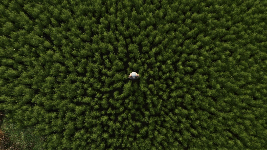 Top view of dense green grass with a person at the center in Farming Simulator 25 mod 'More beautiful grass v1.0.0.0'.