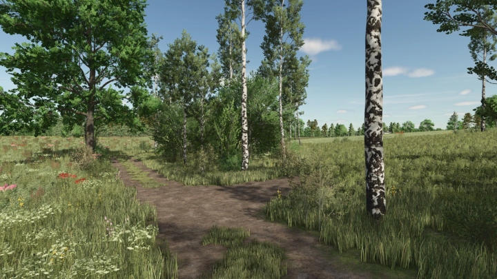 fs25-mods, Scenic countryside path with green foliage on Lipinki Map, Farming Simulator 25 mod.