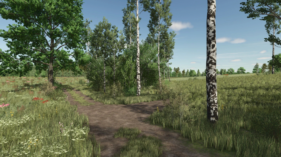 Scenic countryside path with green foliage on Lipinki Map, Farming Simulator 25 mod.