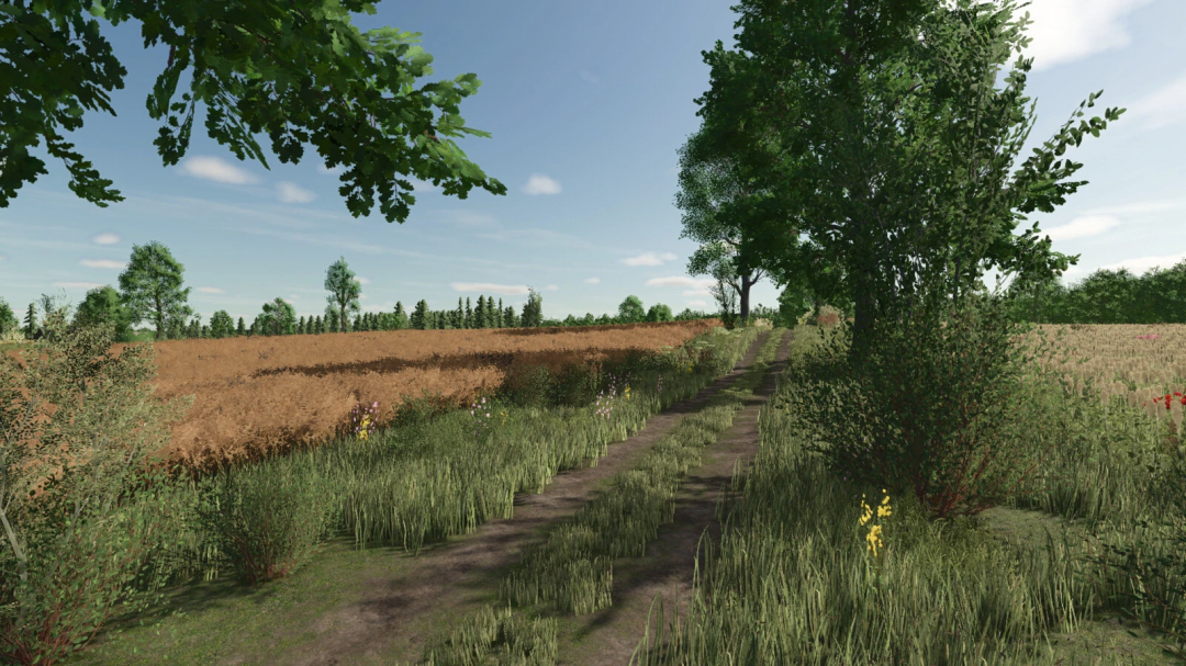 Scenic pathway through fields and trees in Lipinki Map mod for FS25.