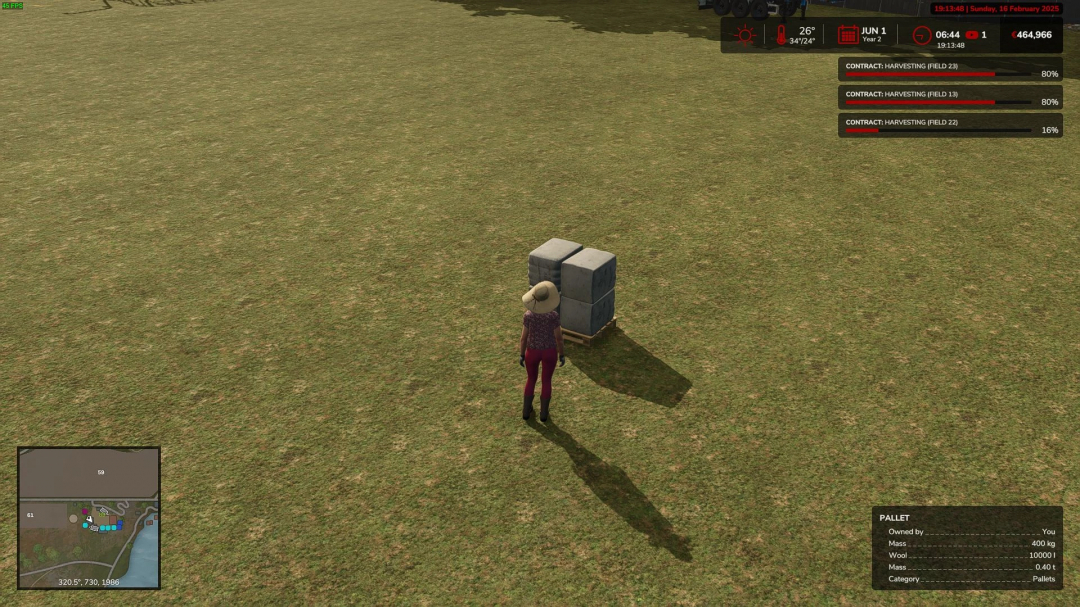 Farmer stands next to pallet of wool on field in FS25 with More Pallets Capacity mod. HUD showing game data.