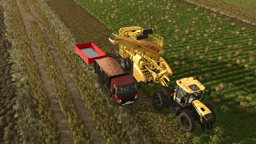 Grimme FT300 and Rootster604 mod in FS25 harvesting potatoes with tractor and truck on a farm field.