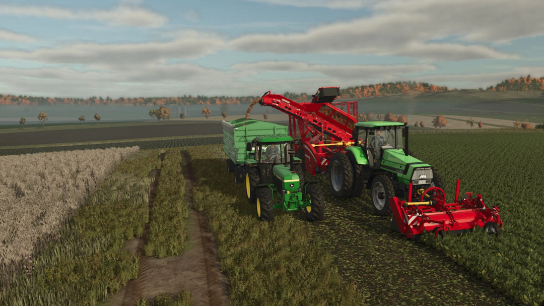 Farming Simulator 25 gameplay with Grimme FT300 And Rootster604 mods harvesting a field.