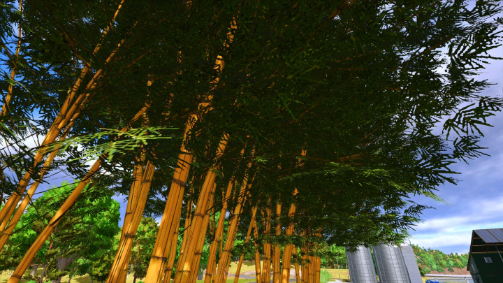 fs25-mods,  FS25 mod Banbuzal v1.0.0.0: Dense bamboo forest in Farming Simulator 25 showcasing vibrant green foliage.