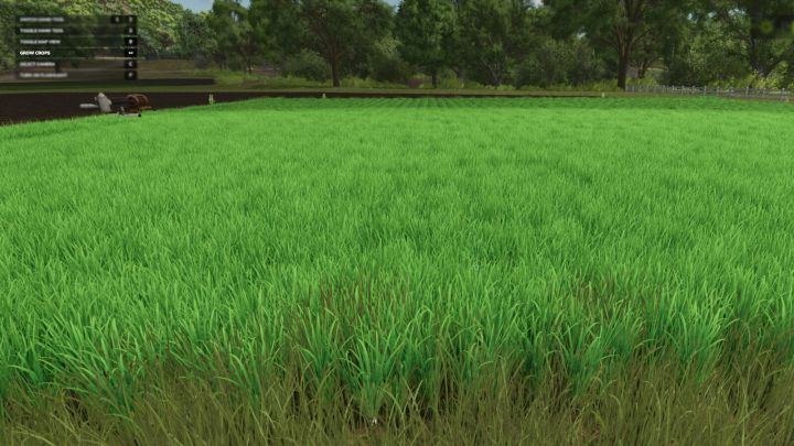 fs25-mods,  Lush green field in FS25 Grow Now mod, showcasing crop growth enhancement in Farming Simulator 25.