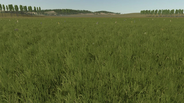 fs25-mods, FS25 mods: Expansive green field with distant trees in Fazenda Mata 4x v1.0.0.0 for Farming Simulator 25.