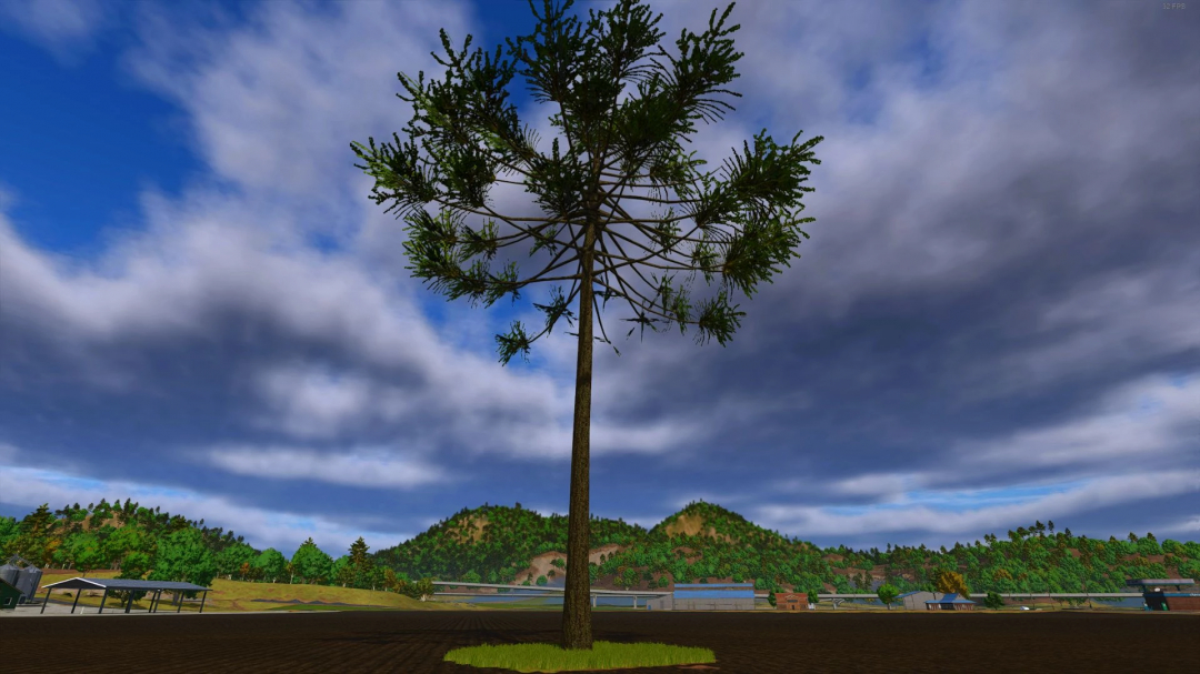 FS25 mod Arariaucaria v1.0.0.0 features a single tall Araucaria tree with fields and hills in the background.