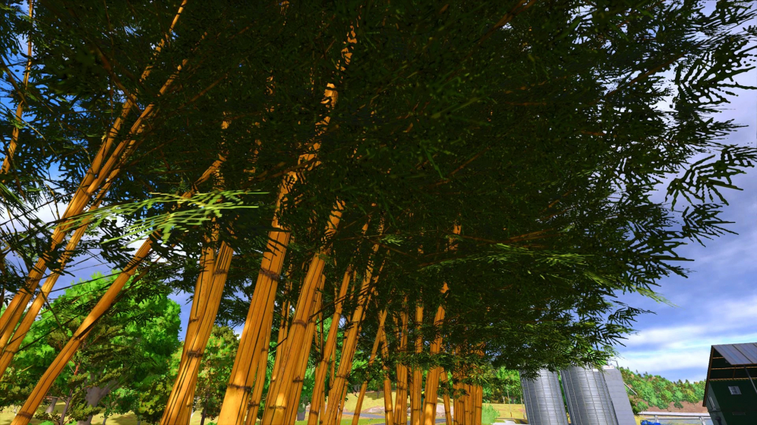 FS25 mod Banbuzal v1.0.0.0: Dense bamboo forest in Farming Simulator 25 showcasing vibrant green foliage.