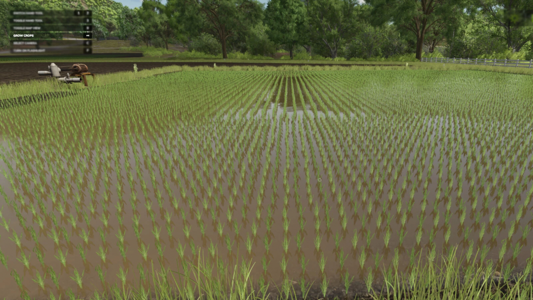 Rice paddy field in FS25 with Grow Now mod, showing lush green rice plants.