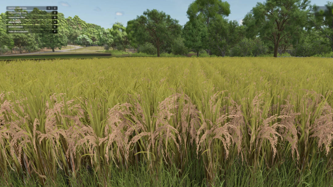 FS25 mods showcase lush field plants in Farming Simulator 25 Grow Now v1.0.0.0 with background trees.